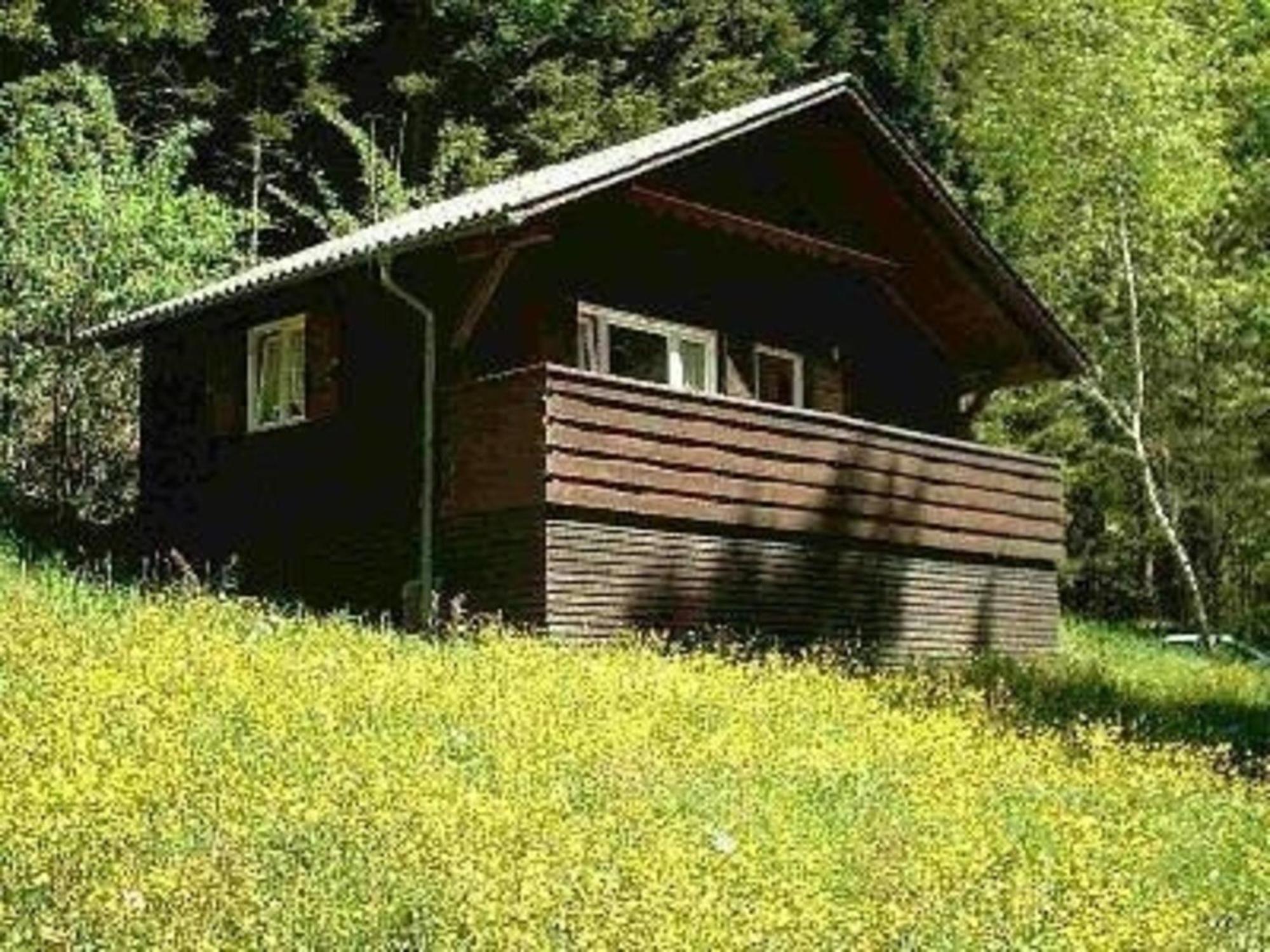 Вилла Ferienhaus Arthurhuette In Hohenweiler Экстерьер фото